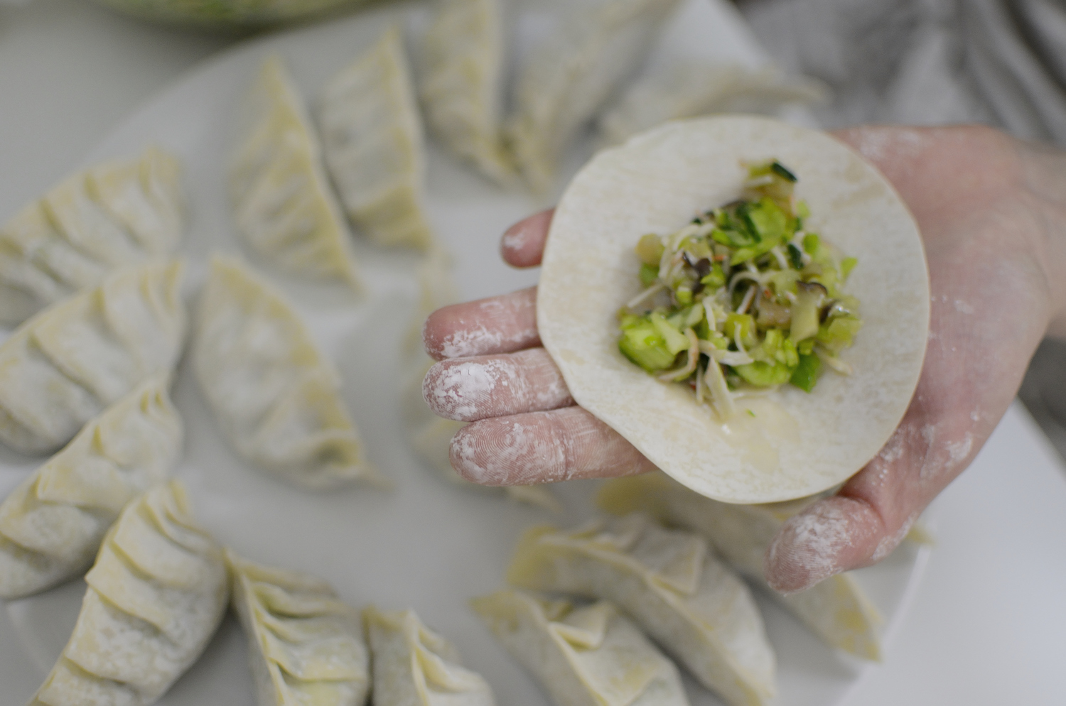 Close-up of a person making chinese dumplings.